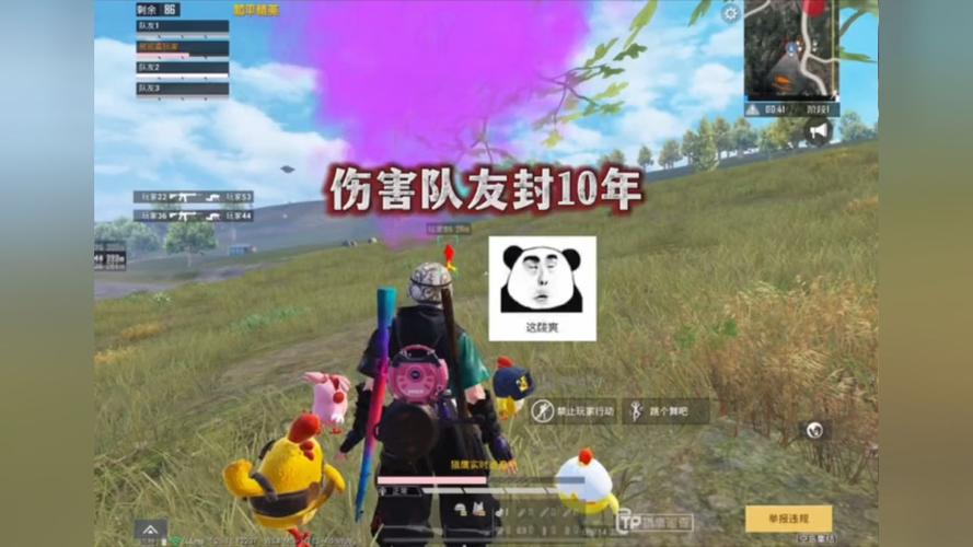 和平精英《哔哩哔哩》外挂
